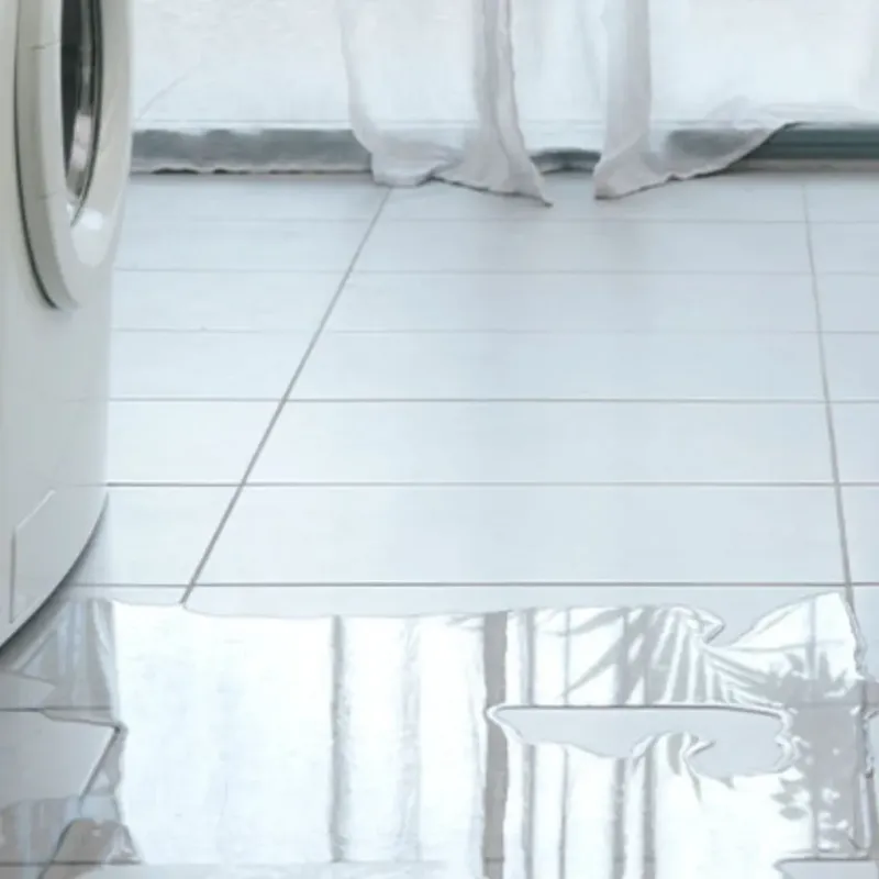 Appliance Leak Cleanup in Ballville, OH