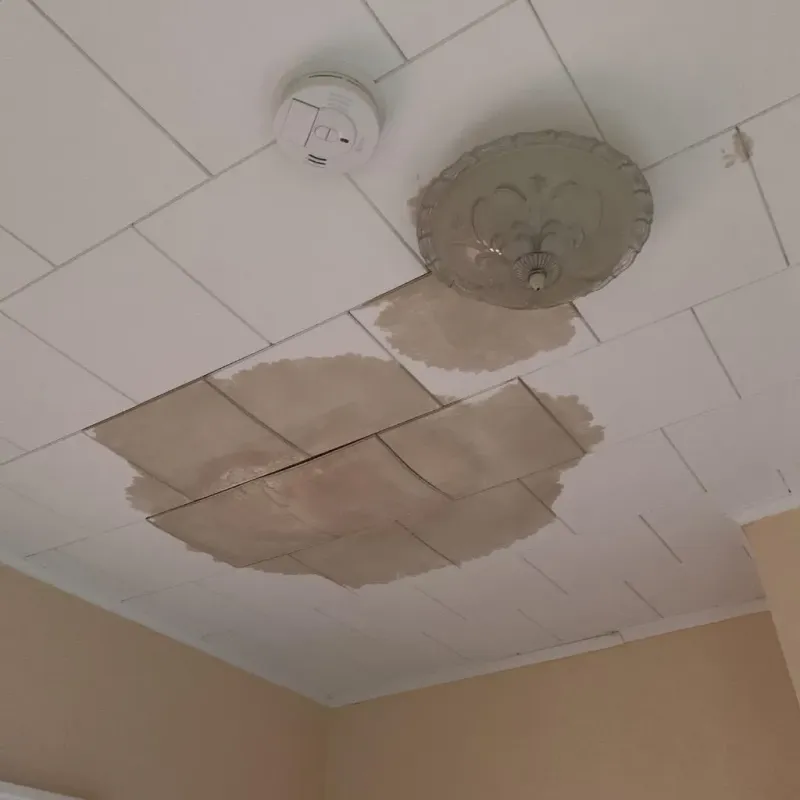 Ceiling Water Damage Repair in Ballville, OH