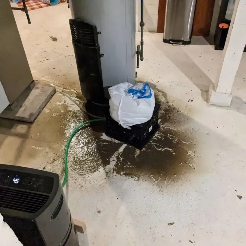 Sewage Backup Cleanup Service in Ballville, OH